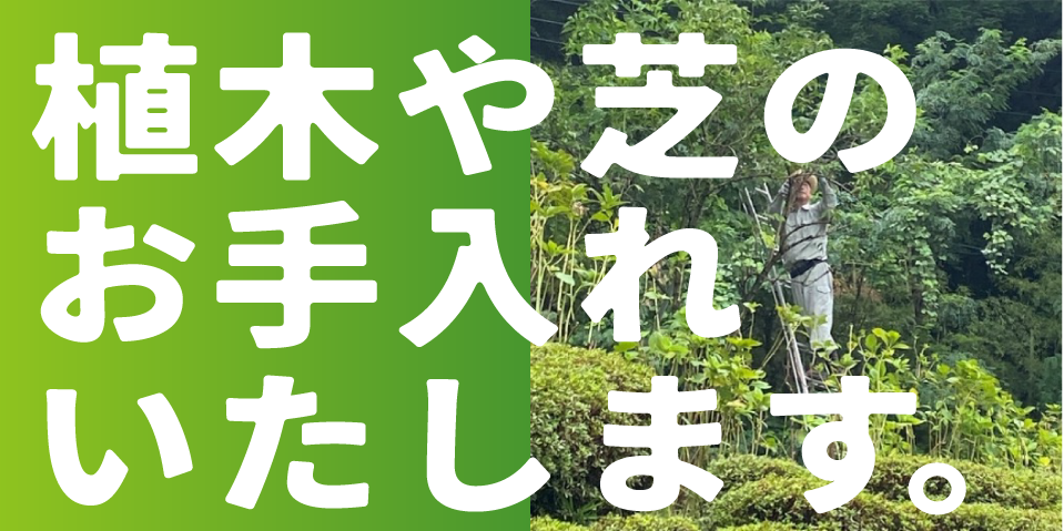薪事業部/株式会社ファースト 薪事業部/株式会社ファースト